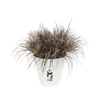 loft urban rond roues 60cm blanc